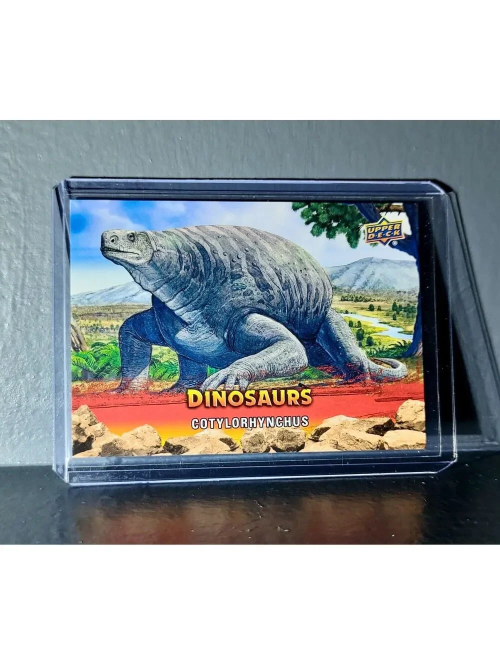 2015 Upper Deck Dinosaurs Cotylorhynchus Extinction Red Parallel #97 Card